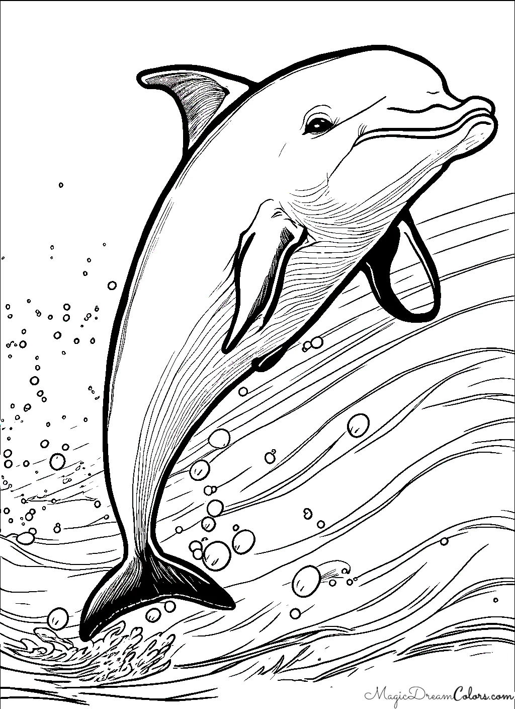 color pages Dolphin