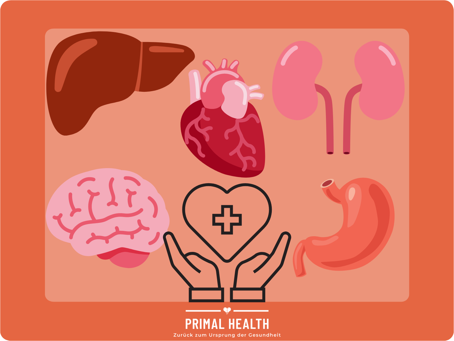 Sind Innereien gesund?