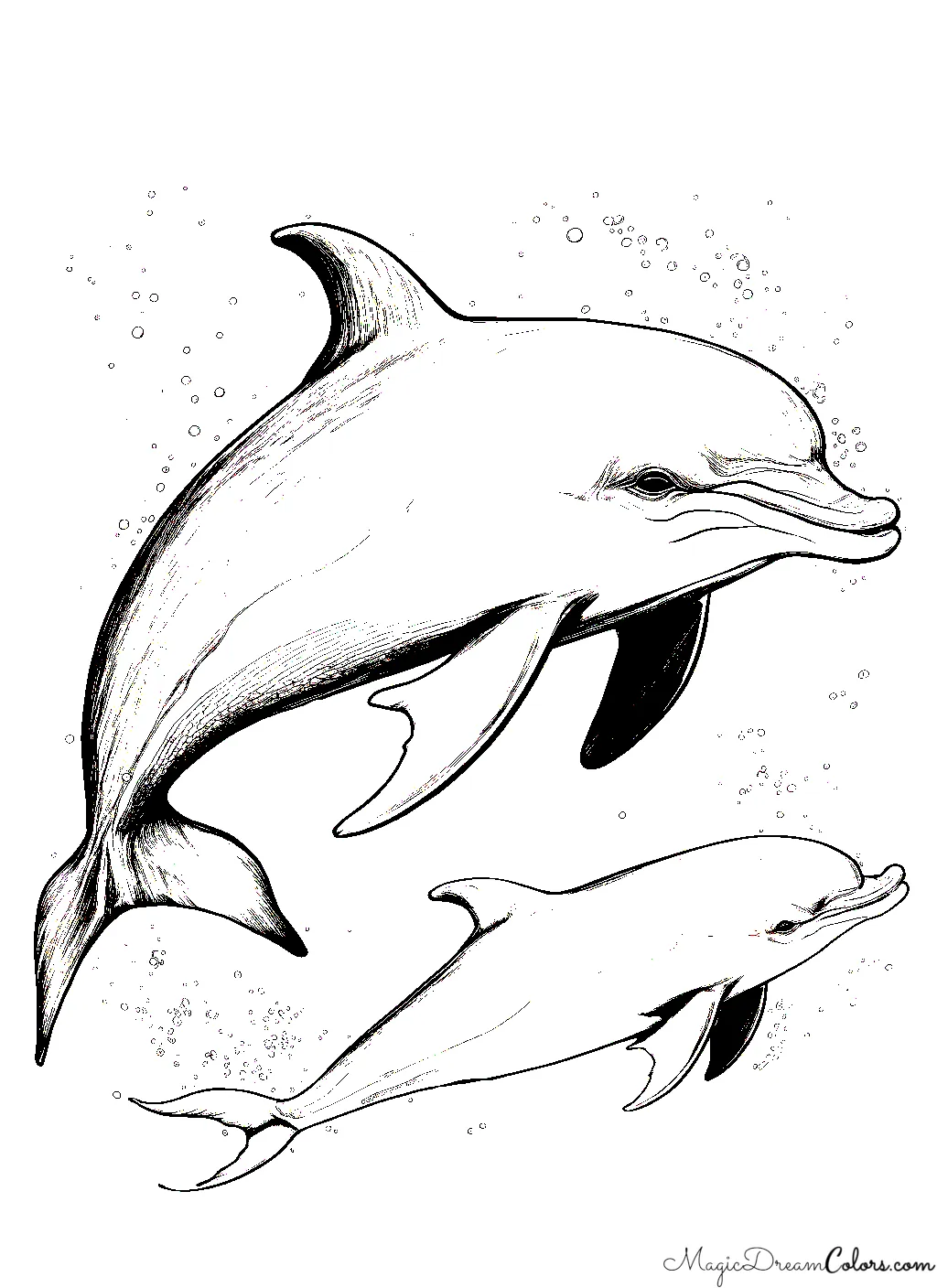 Dolphin colour pages