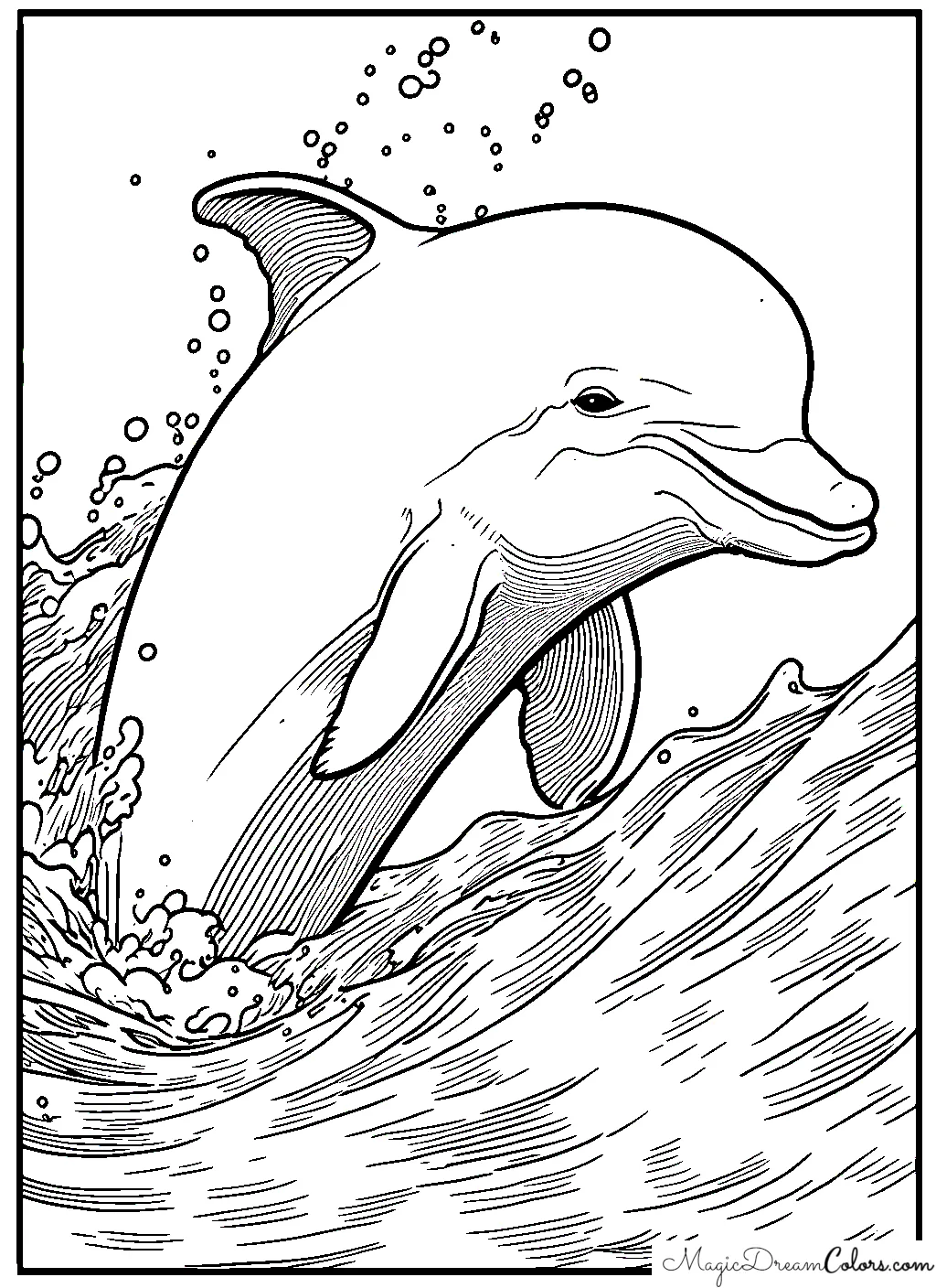 Dolphin colouring page