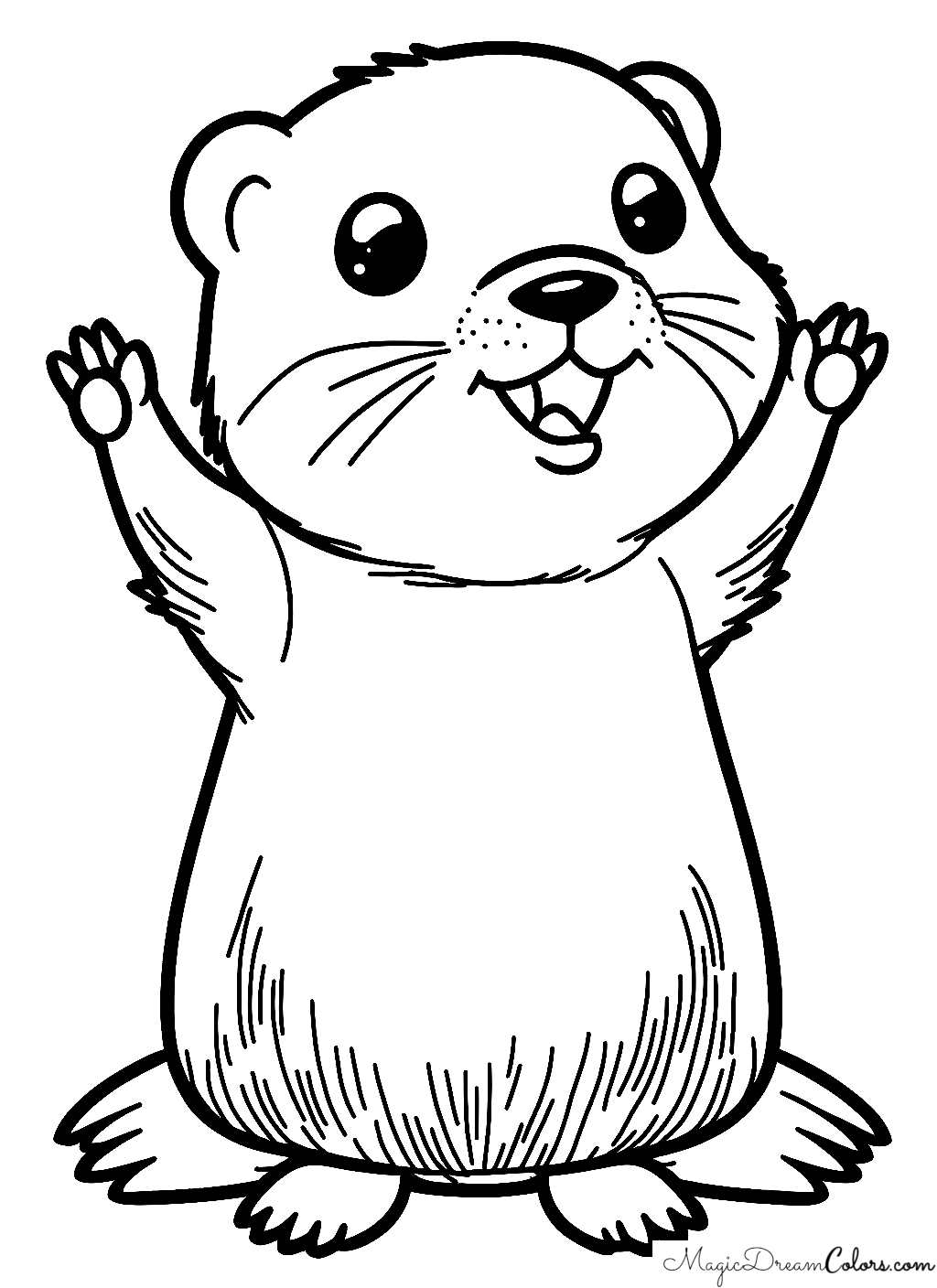 ausmalbilder murmeltier