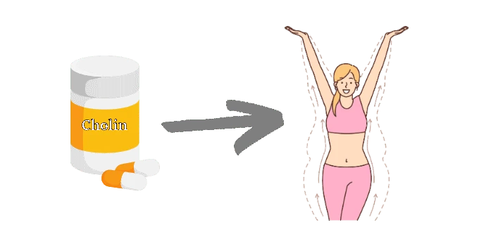 Cholin zum Abnehmen
