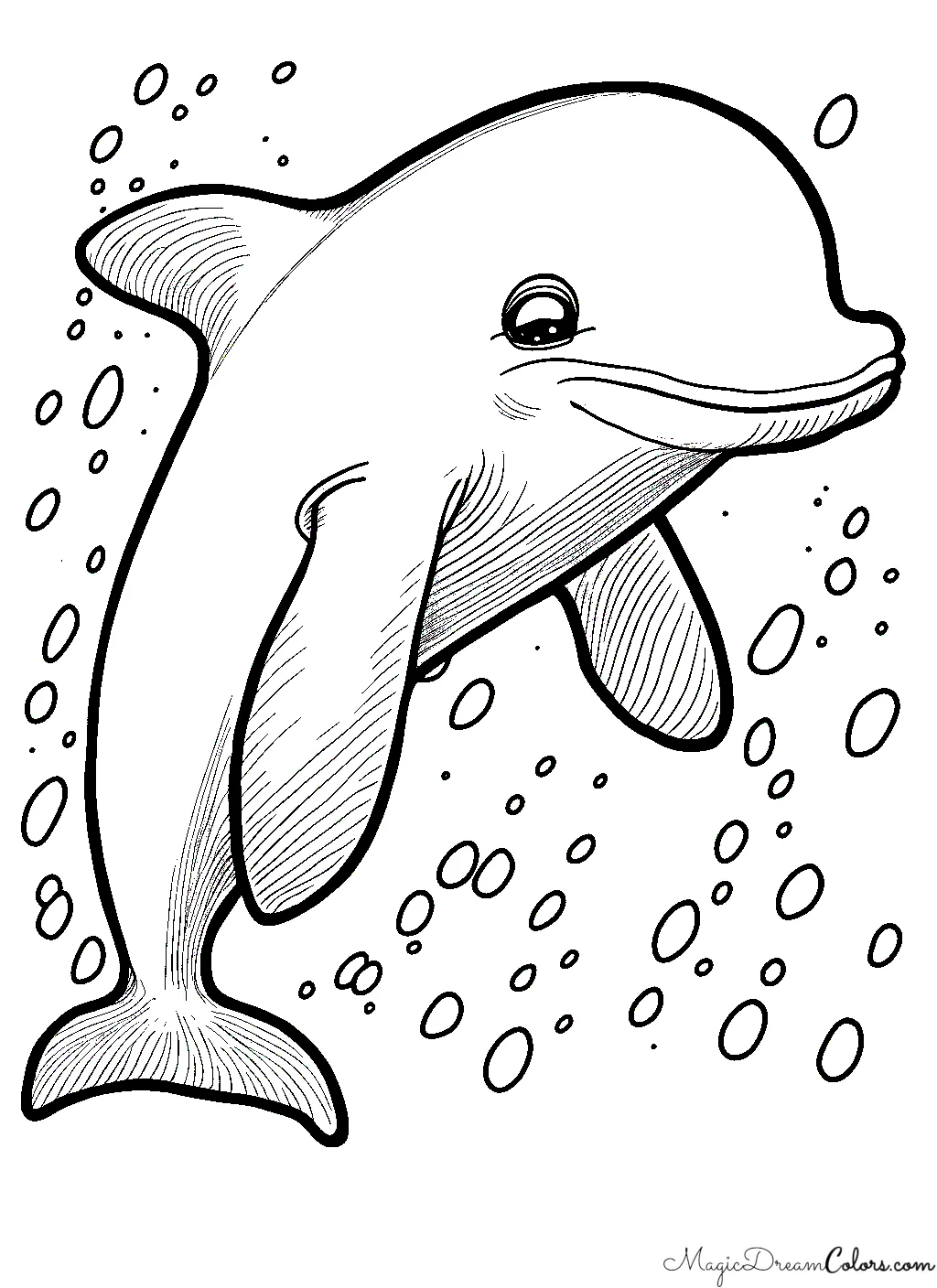 Dolphin colour page