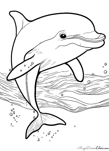 Dolphin coloring pages