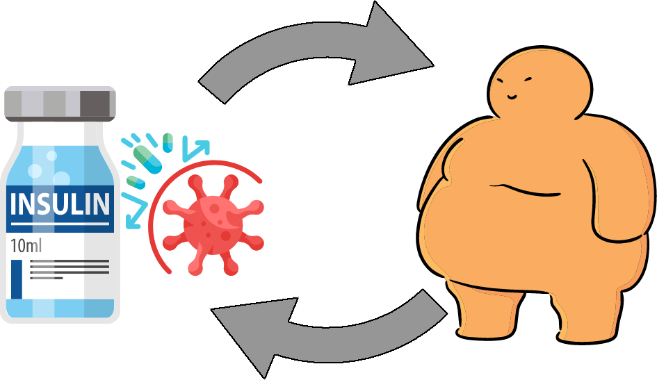 Insulinresistenz Übergewicht