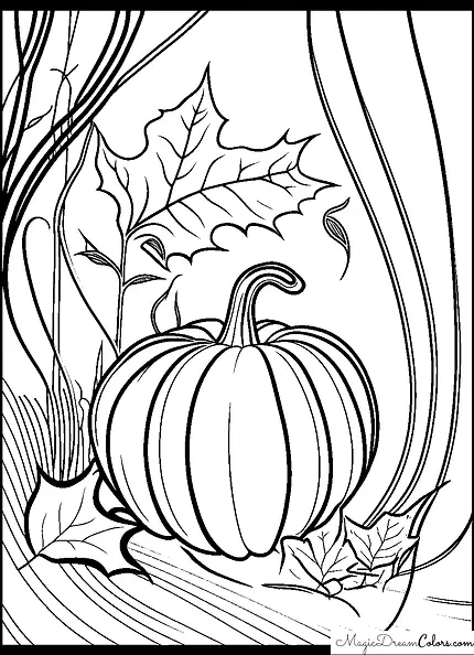 coloring pages Autumn