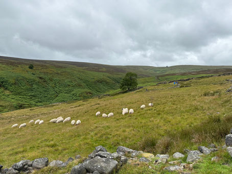 A Weekend in Yorkshire: Wild Hills, Waterfalls & Woven Histories