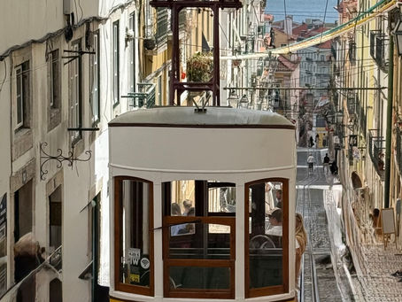 Wandering Lisbon, Alone and Alive