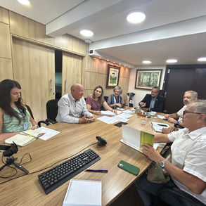Engenheiros Florestais e SEDEST se unem para discutir atualização de legislação para o manejo e incentivo ao plantio de araucárias no Paraná