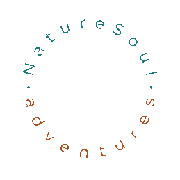 NATURESOUL ADVENTURES LOGO