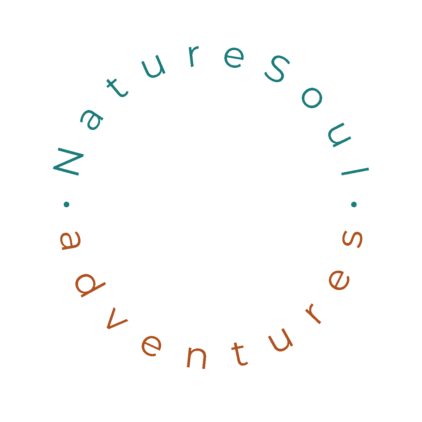 Naturesoul adventures logo