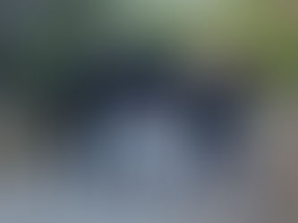 naturesoul adventures team in Kroustas pine forest raising their hands with enthousiasm