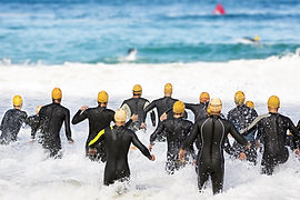 Nageurs entrant dans l'océan