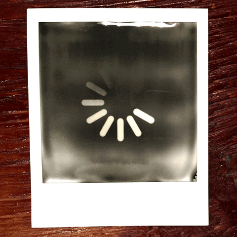 giphy.gif