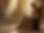 BannerOption1.png
