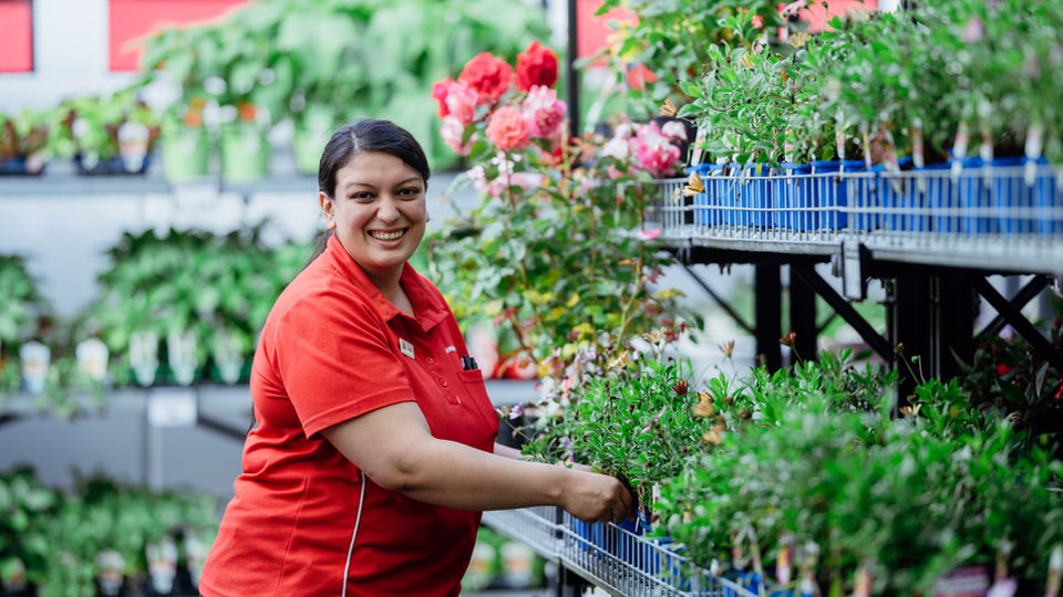 Smiling woman in red shirt tending to plants on display, The Warehouse Careers.