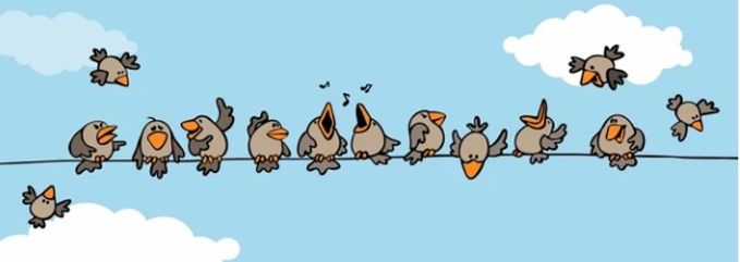 Birds on wire.jpg