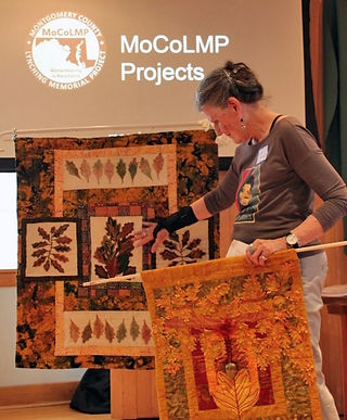 Lynda Tredway shows her “Leaves of Redemption” quilting project depicting lynchings in each state.