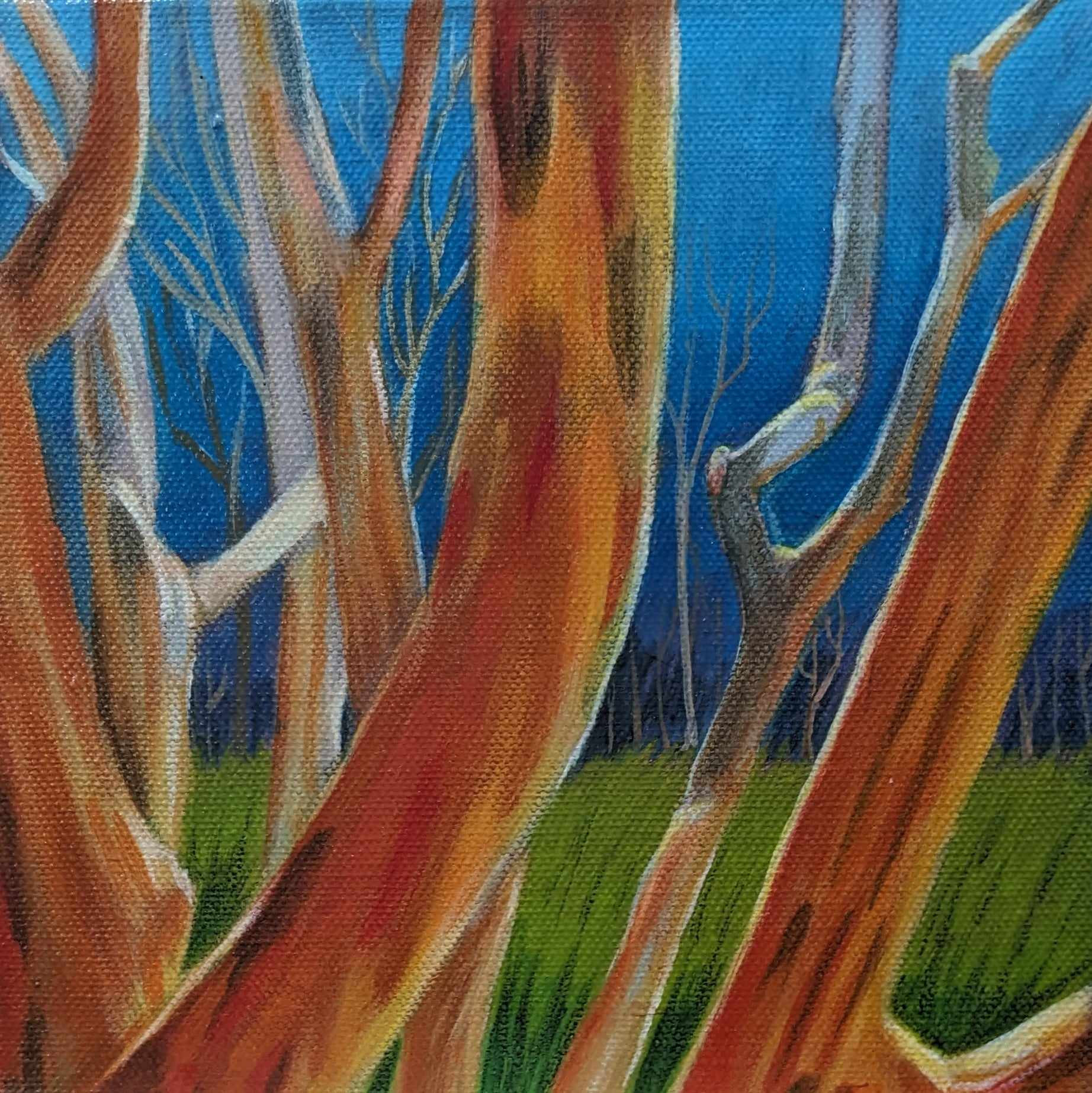 Summer Wood