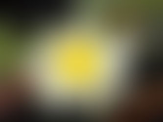 7月からの営業について