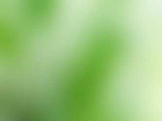 5月11日から5月31日までの営業予定について