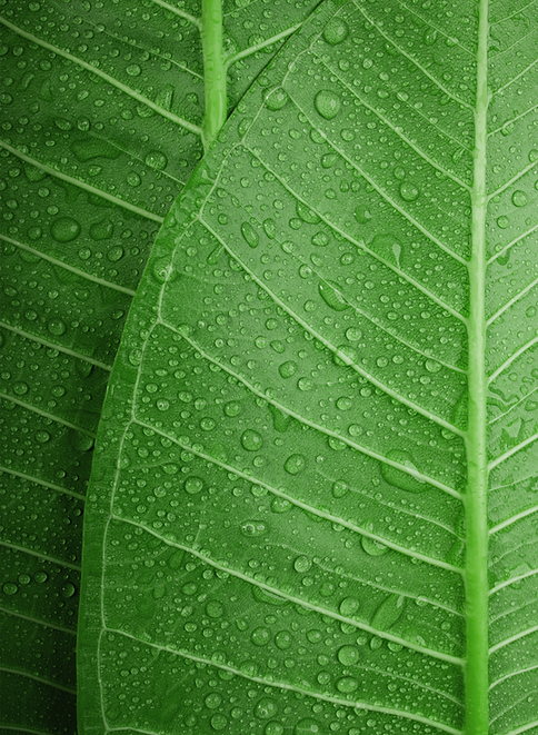 Eco-Friendly Methods