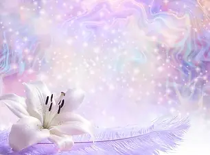 depositphotos_573577264-stock-photo-beautiful-lily-laid-on-lilac.jpg