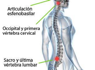 Triangulo-de-compresiones.png