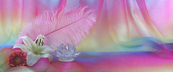 pluma-femenina-de-la-gasa-del-arco-iris-y-fondo-holístico-flor-118153841.jpg