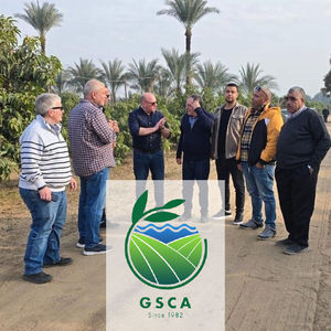 Strengthening Partnerships and Agricultural Innovation in Egypt