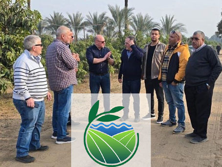 Strengthening Partnerships and Agricultural Innovation in Egypt