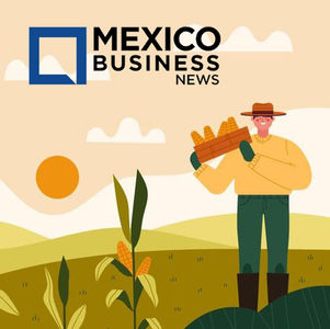 Aqualatus Tech Cuts Water Use in Mexican Agriculture by 50%