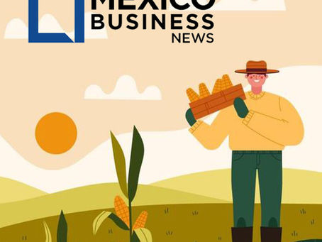 Aqualatus Tech Cuts Water Use in Mexican Agriculture by 50%