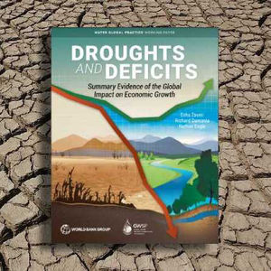 The Global Impacts of Droughts on Economic Growth