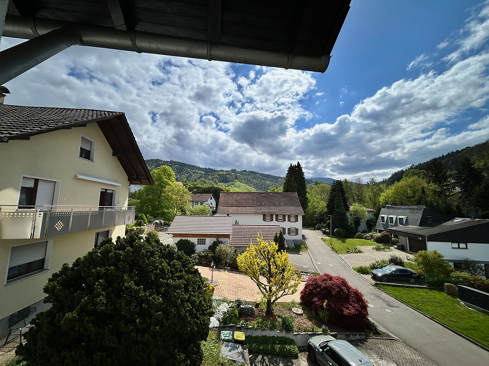 Aussicht auf die Burg