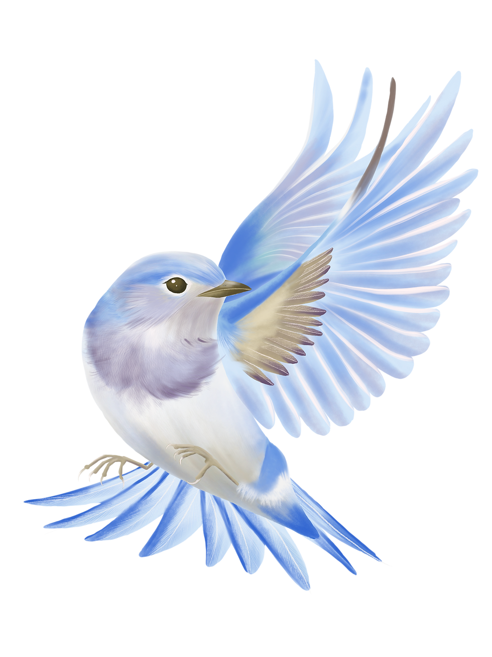Untitled_Artwork (18).png