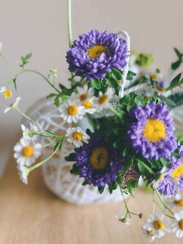 Blooming into Spring