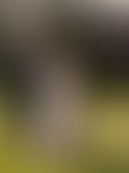 The Manor (King City) Wedding Film Guide: What Films Best Here