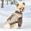 Miniaturbild: Puppia Pullover TOBEE