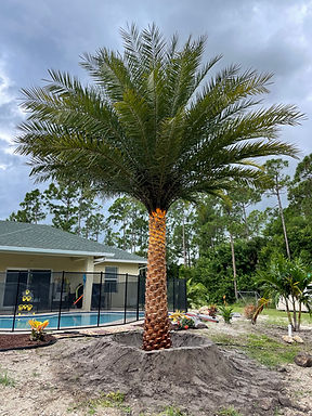 CD6FC820-CDDD-467C-A8EF-90A5B1BFED09 (1).jpeg