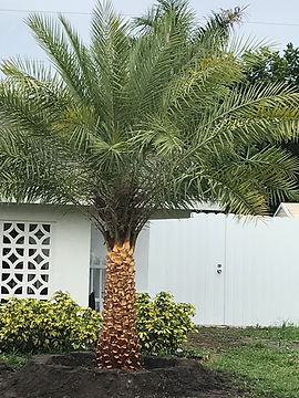 9E9D6341-70A0-4A4A-986B-631E80B8AEFC (1).jpeg