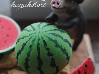 8月作品 スイカ畑で