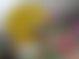 9月の作品 お月見ポンポコたぬき