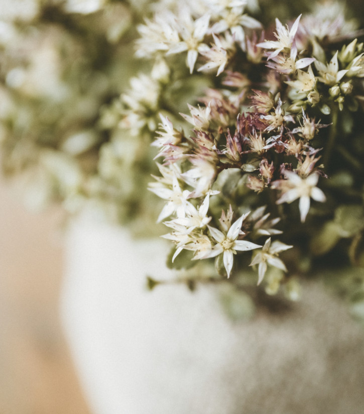 Handmade knit cushions and placemats styled in calm neutral interior.