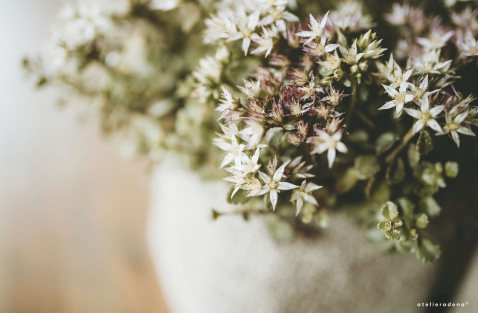 Artful living by Atelieradena