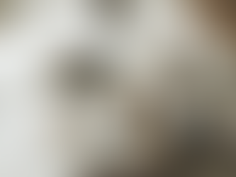 Holiday table styling