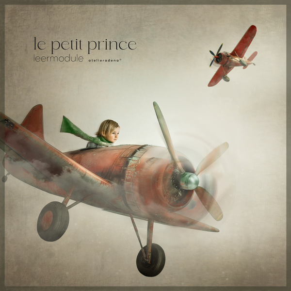 le petit prince