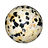DALMATIAN-JASPER.jpg