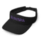 Thumbnail: Visor