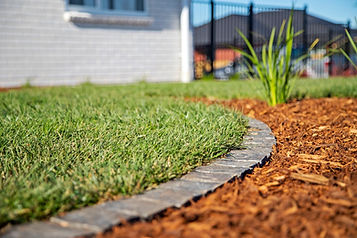 landscaping south auckland 41 edited.jpg